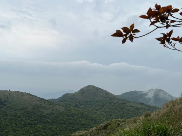 4/12台北大縱走第二段小油坑到二子坪2763649