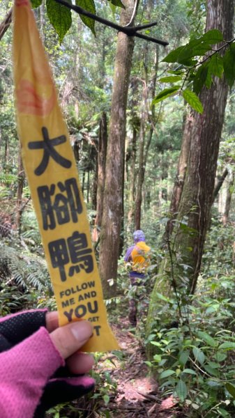 烏來阿玉溪山/西坑林道/探勘派出護管所彈藥庫遺址至獅坑橋3043683