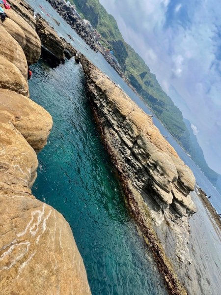 鼻頭角浮潛趣2582486