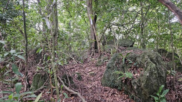 20251128玉瀧谷(竹子湖南)-東昇路碉堡-後山-湖田後山梯田(騎車爬山)2948385
