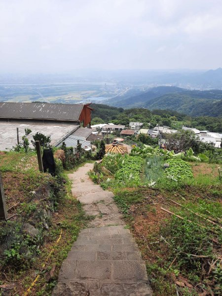 20230709 中正山縱走面天向天山，冰泰酥朵頤2211928