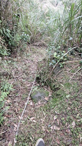 20260211庚子坪溫泉-赤石六山2997587