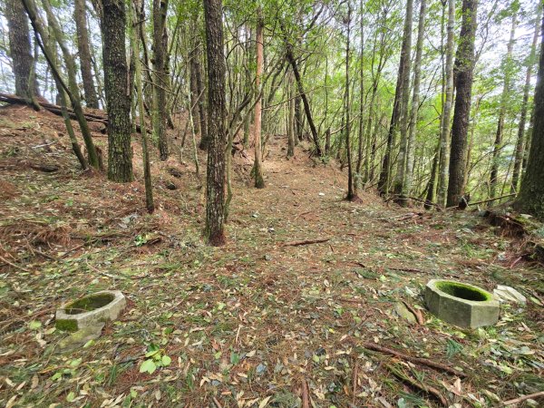 谷關七熊馬崙山2748804