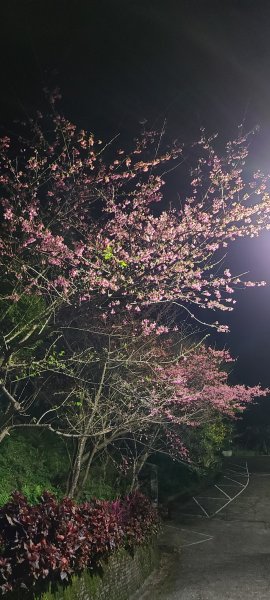 20211230 小百岳-新北汐止大尖山3056457
