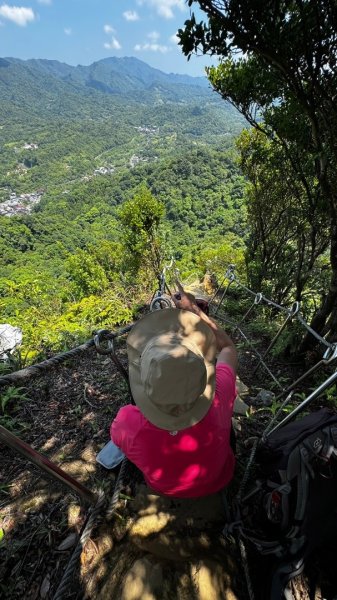 孝子山、普陀山、慈母峰賞鹿子野百合O走2592958