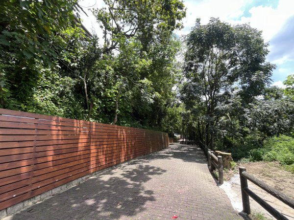 [百山百鳥尋旅-03/15] 2025_0817 虎形山公園步道2863113