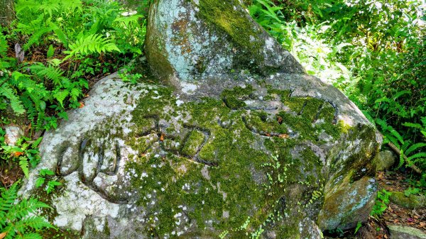 陽明山16草原之西線8草原2904068