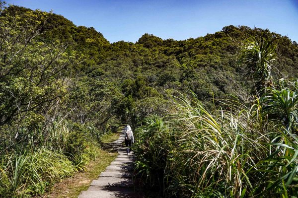 五分山｜小百岳2915438