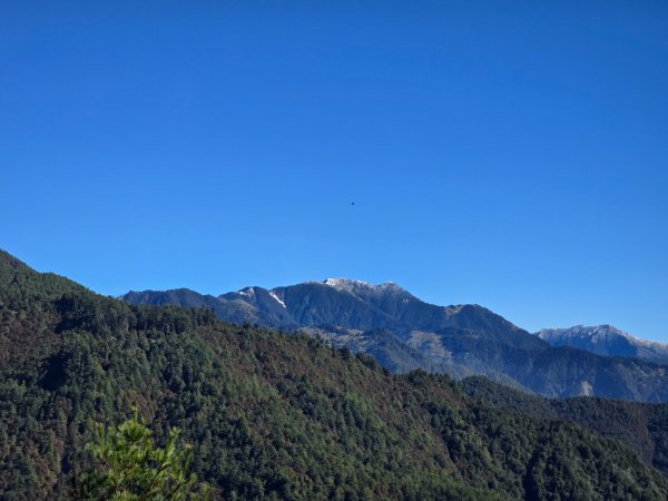 大雪山國家森林遊樂區賞楓／看神木／賞雪白山頭／賞大景2974205