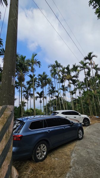 【稜線瘦如刀鋒，山形橫亙如屏風】解鎖第55座小百岳 #045 大橫屏山2932891