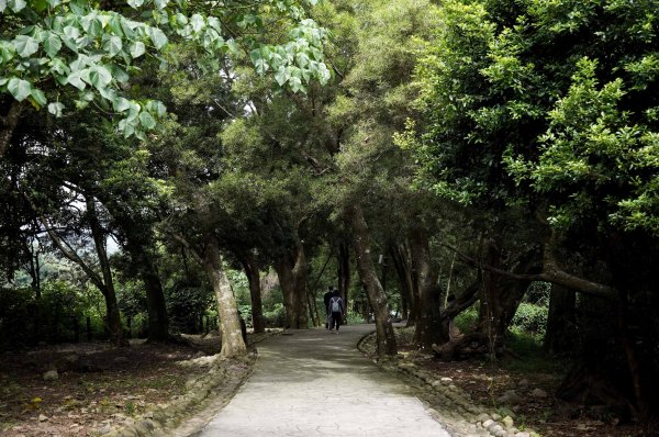 大坑1號步道2865253