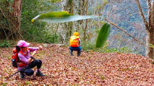 112.02.11 麻必浩林道+南坑山小O2026963