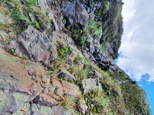 燦光寮山，燦光寮古道，樹梅坪古道，金字碑古道，大粗坑古道，風露嘴桐花步道，粗坑崙山1634874