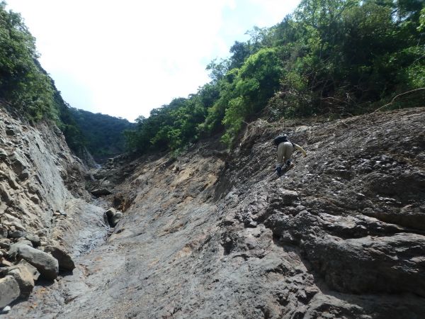 【新聞】里龍山步道風災受損嚴重封閉 籲請民眾勿冒險前往