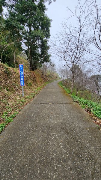 111/12/18藤枝森林園區東藤枝山、藤枝山1979576