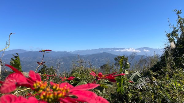 樟之細路-聖關段2686826