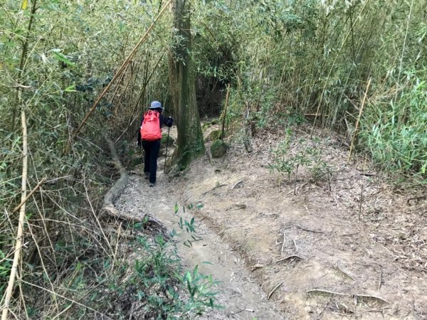 五寮尖上大風狂448900