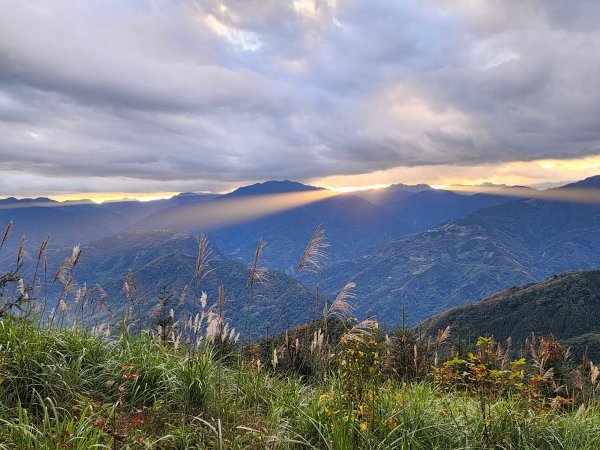 20250105鵝公髻山雲霧步道2726324