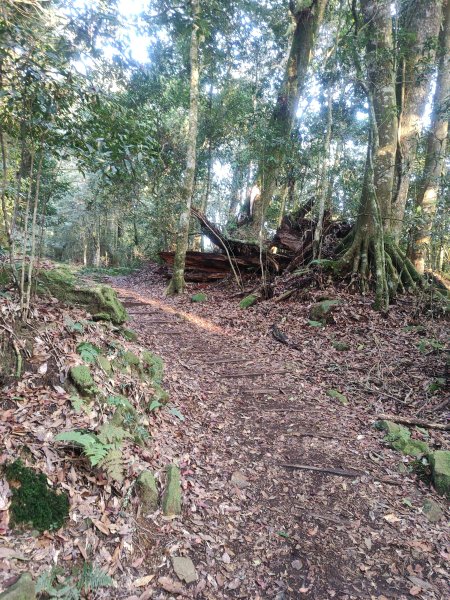 特富野古道2453272