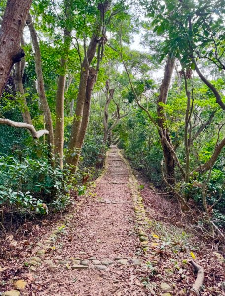 隴頂古道走萬里長城四百坎2672858