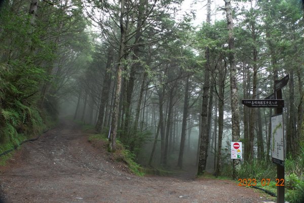 臺東 海瑞 三叉山、嘉明湖2229110