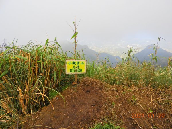 新北 三芝 小觀音山、大屯溪古道1251725