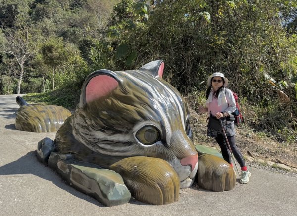 雪山坑登山步道尋巨人2978412