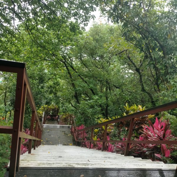 臺北大縱走第六段：中華科技大學至捷運麟光站2810838