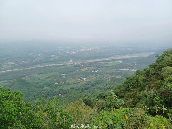 【高雄。旗山】小百岳集起來。 編號76小百岳-旂尾山步道1578071