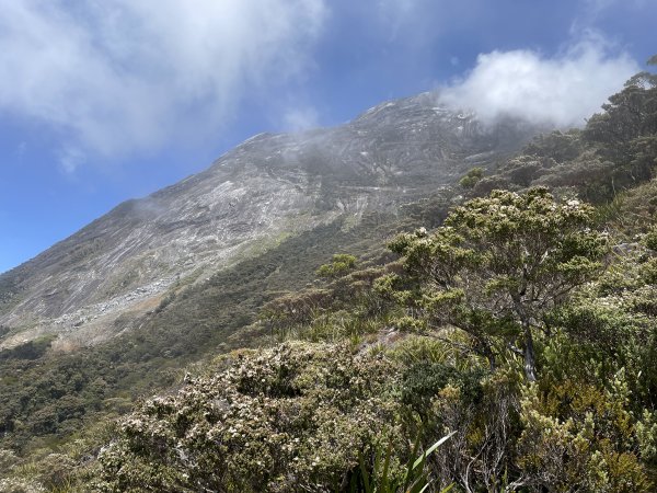 馬來西亞神山：日出、大景、豬籠草 Malaysia's Kinabalu2997534