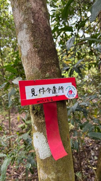 六龜警備線南段（藤枝-茂林）2天1夜2758265