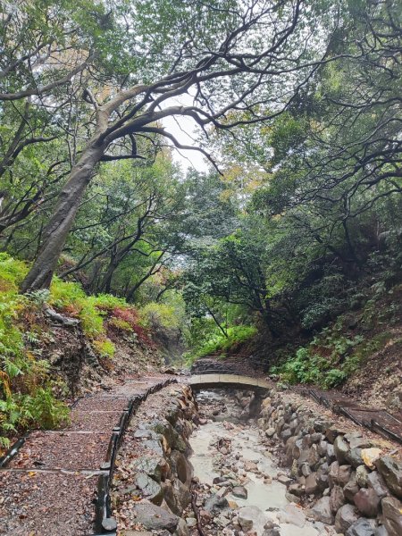 2026年元旦升旗快閃七星順探紫明溪2973997