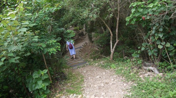 九九峰森林步道登山健行趣(步道)1827301