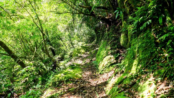 畝畝山。又上說2768148