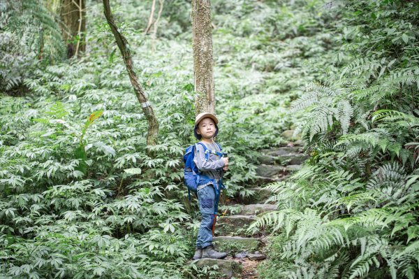 絕美的河岸步道｜淡蘭之烏山越嶺古道 （淡蘭古道中路）2325975