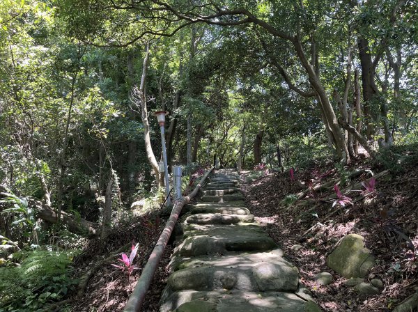 [跟著2025雙北世壯運探索雙北市-7/21] 2025_0615 疾風足球道（輔仁大學－明志路二段2814995