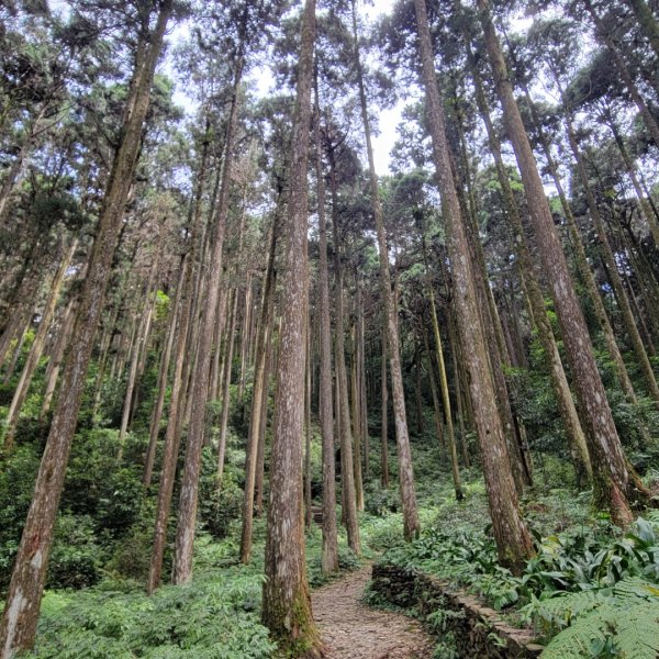 藤枝國家森林遊樂區（小百岳）