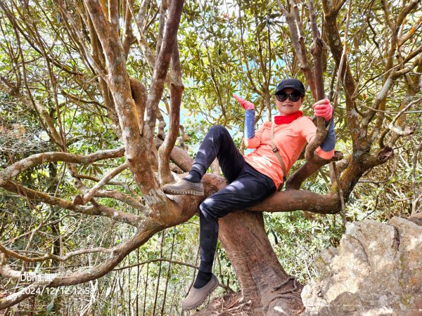 【谷關七雄】波津加(H1771.6m)肉腳配速成功2670484