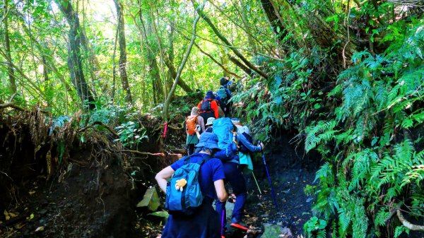 鹿兒島開聞岳,龍宮神社3027937