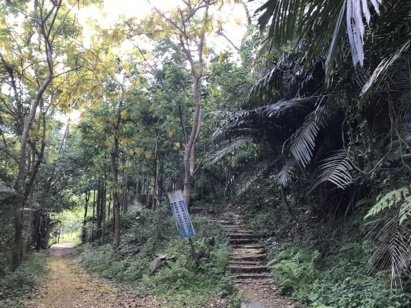 109年6月21日烏山紫竹寺-刣牛湖山1007441