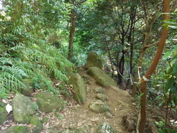 微笑山線之鳶山任務2855514