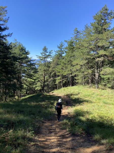 2024/8/30-31尋訪傳說中的鳥山~喀拉業2587351