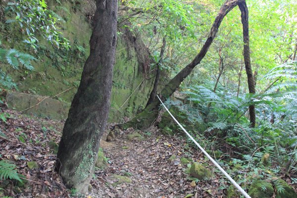 鶯歌碧龍宮.龜公山.牛灶坑山.鶯歌石695314