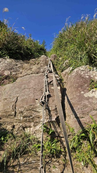 20260115基隆山主東峰2982657