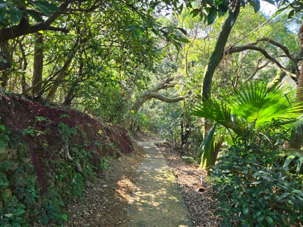 槓子寮砲台、槓子寮山步道（龍崗步道）（小百岳）2701998