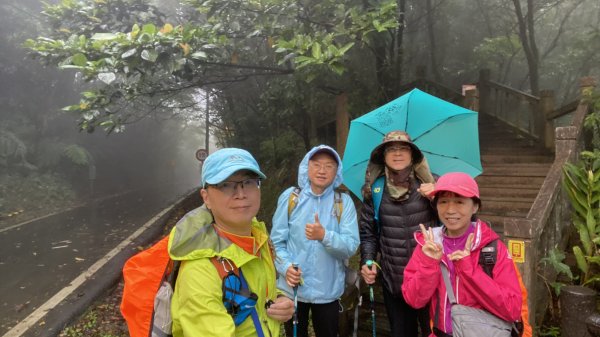 尋覓雨霧中的獅子|獅仔頭山|Mt.Shizaitou|隘勇線|峯花雪月2384983