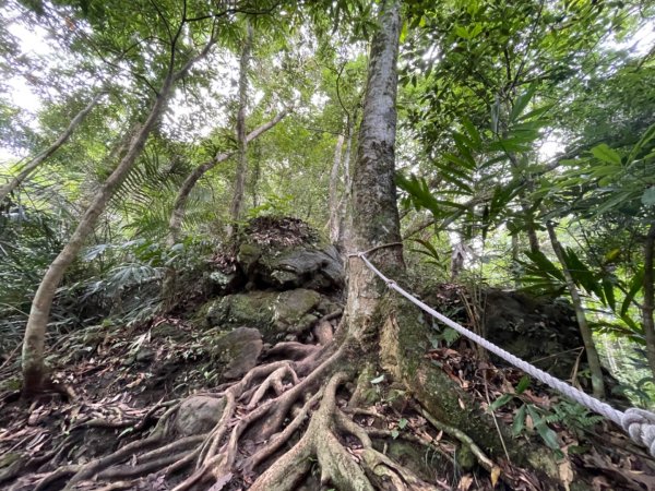 五指山登山步道2226355