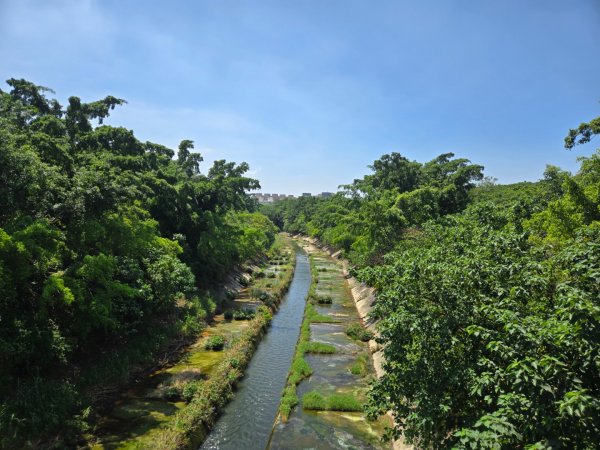 高雄都會公園3119754