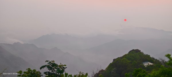 #山羌 #親子檔 #二格山 #日出 #雲海 #晨霧 4/113033438