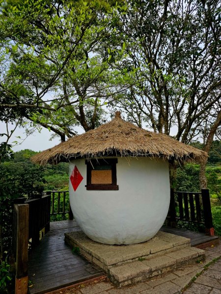 2025年臺北大縱走第七段：世界山莊至飛龍步道政大後山2757365